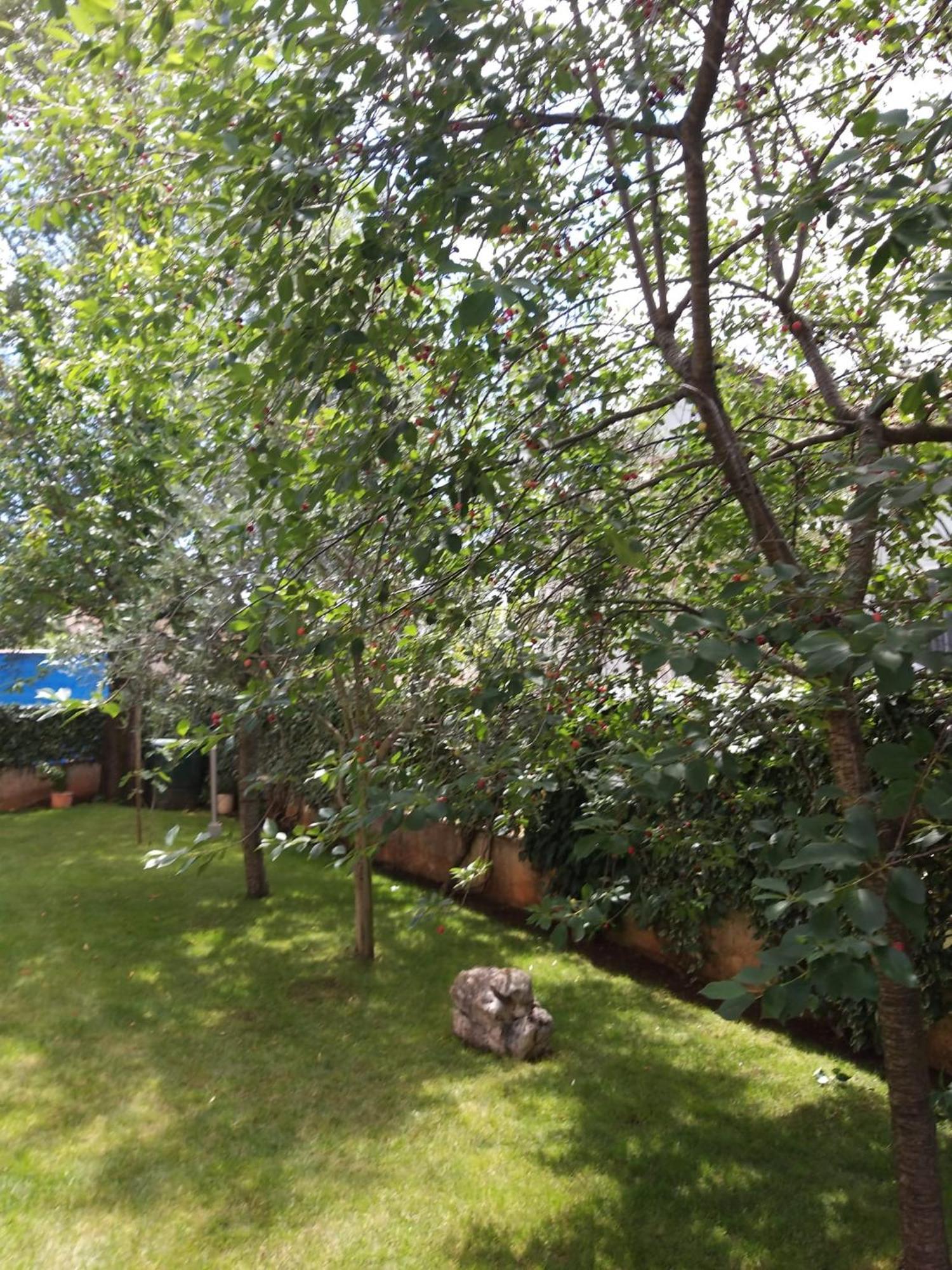 Apartmani Anita Малинска Экстерьер фото